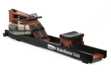 Waterrower Rowing machine club stained solid ash 