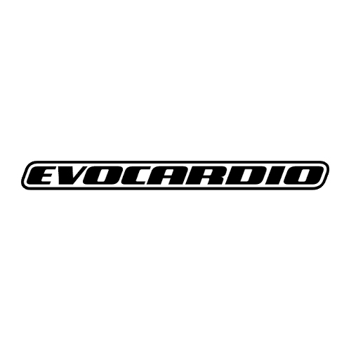 Evocardio Renegade HIIT runner ARUN050 treadmill online? Find it at  fitt24.com