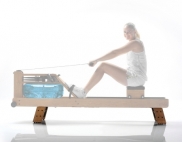 waterrower performance ergometer